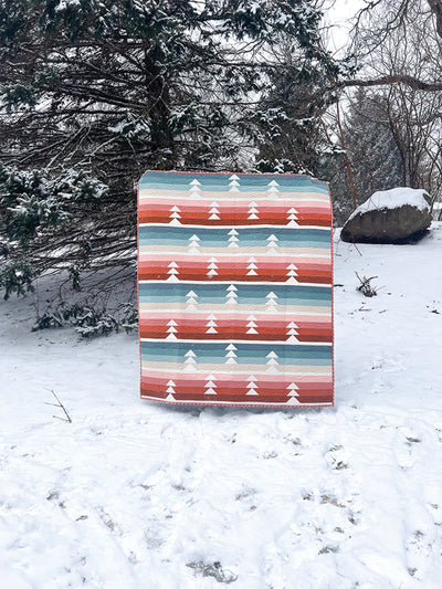 Cozy Quilts for the Modern House| Book