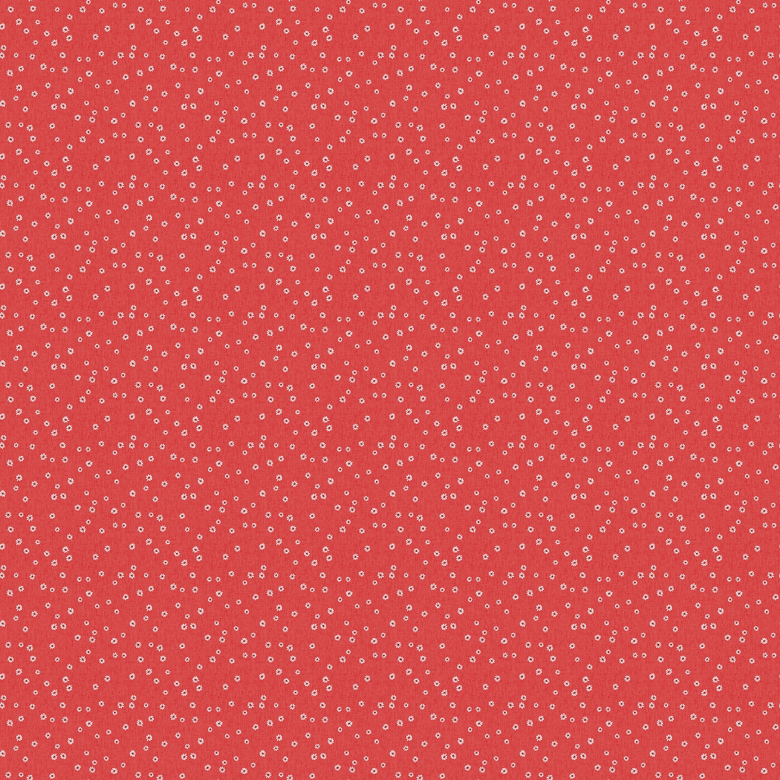 Cherry Orchard - Daisies Red