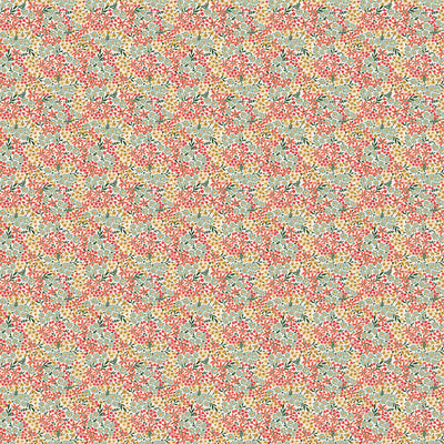 Cherry Orchard - Calico