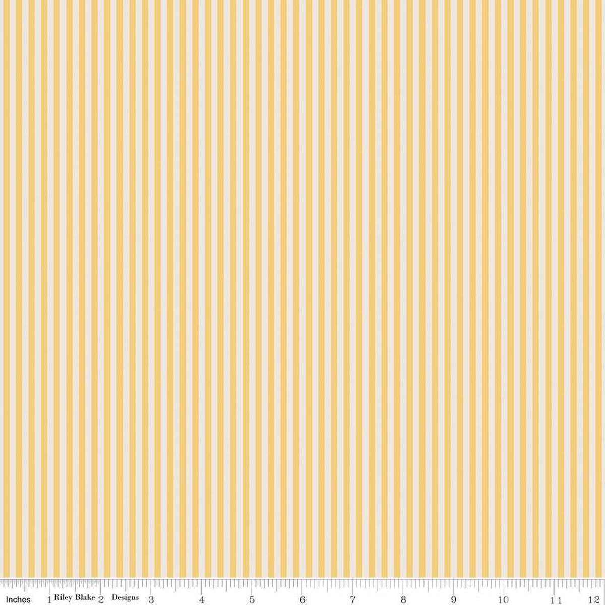 1/8" Stripe On Ivory - Honey