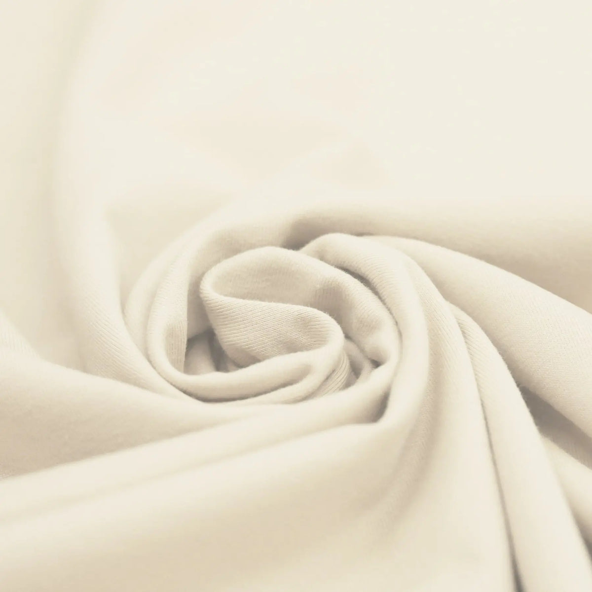 Solid Cotton Jersey - Natural | Knit