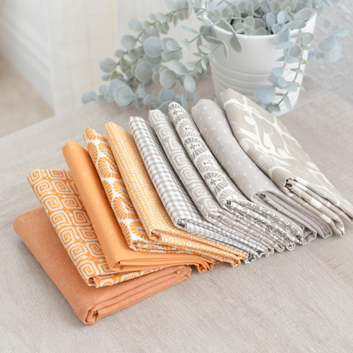 To The Savannah - Bundle