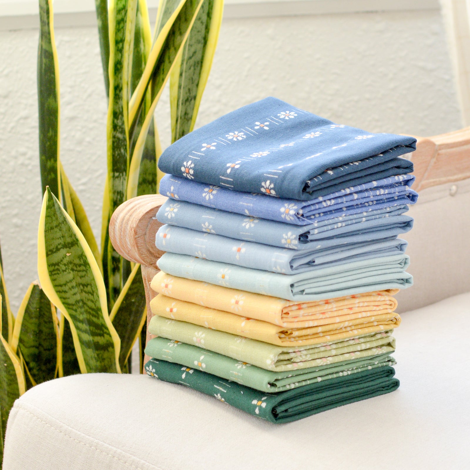 New Daisy Colours | Bundle