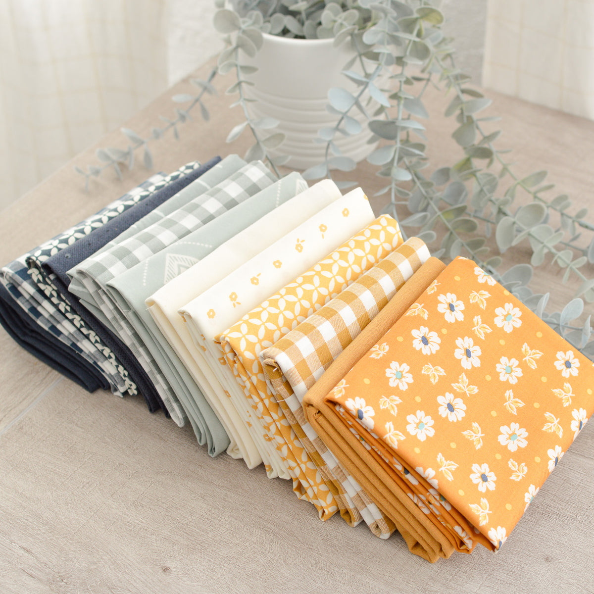 Shine Through - Bundle