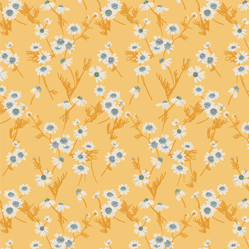 Midsummer - Herbal Remedy