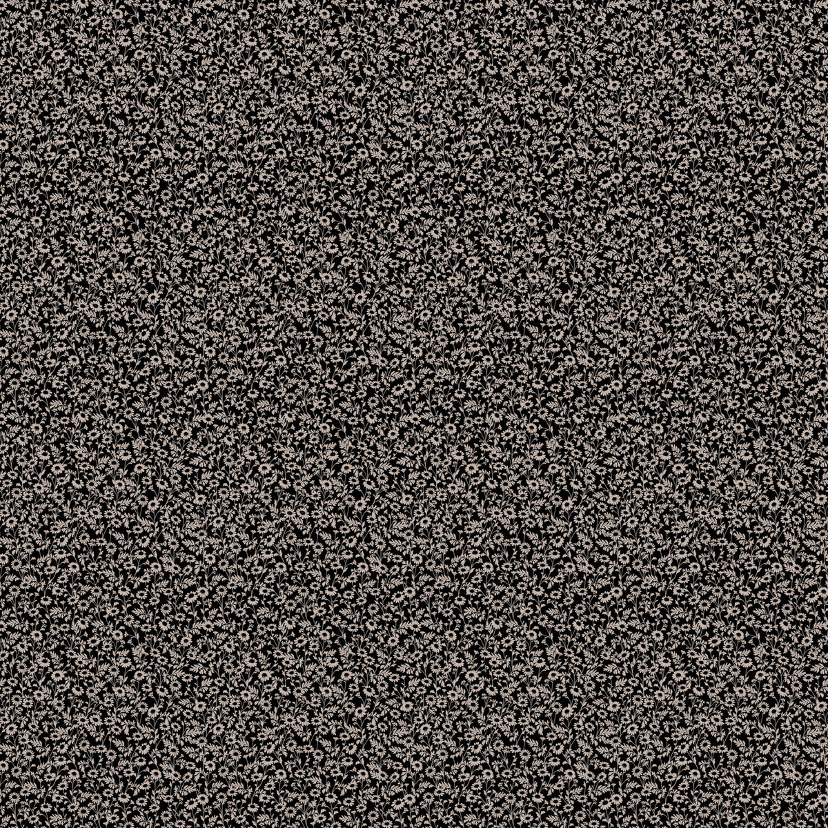 Humblebee - Chamomile - Charcoal