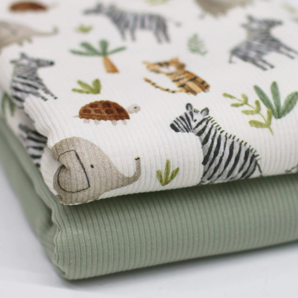 Safari | Ribbed Knit