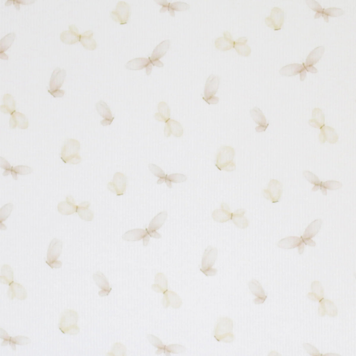 Butterflies | Ribbed Knit
