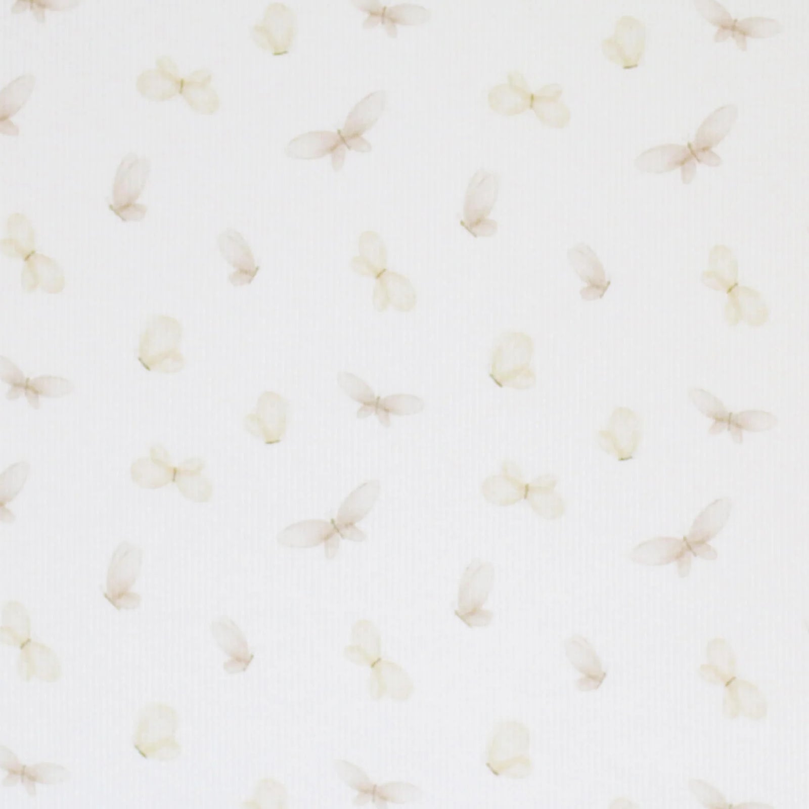 Butterflies | Ribbed Knit