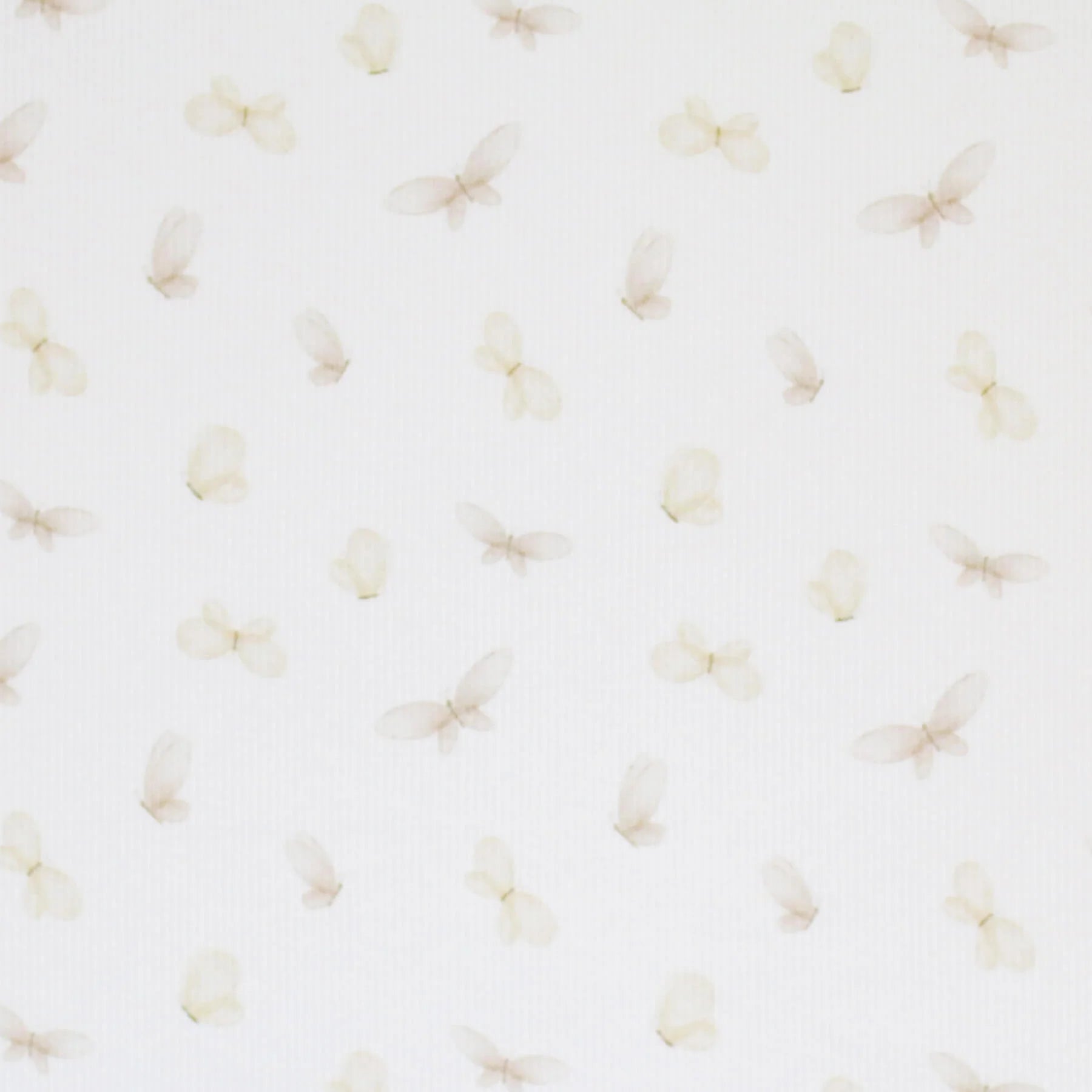 Butterflies | Ribbed Knit