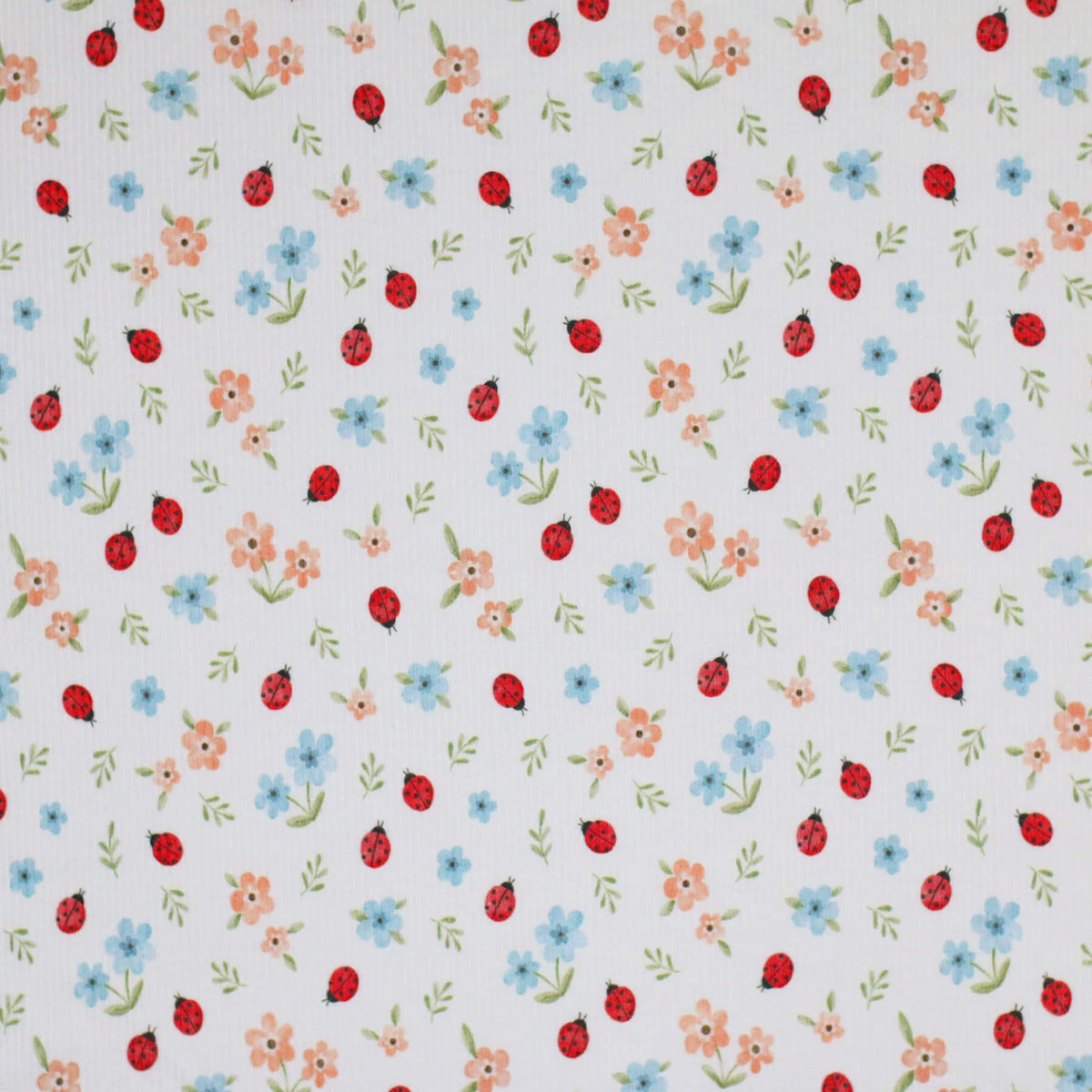 Ladybug | Ribbed Knit