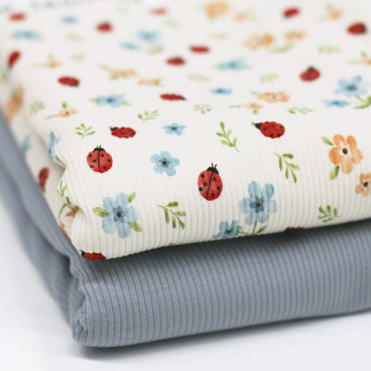 Ladybug | Ribbed Knit