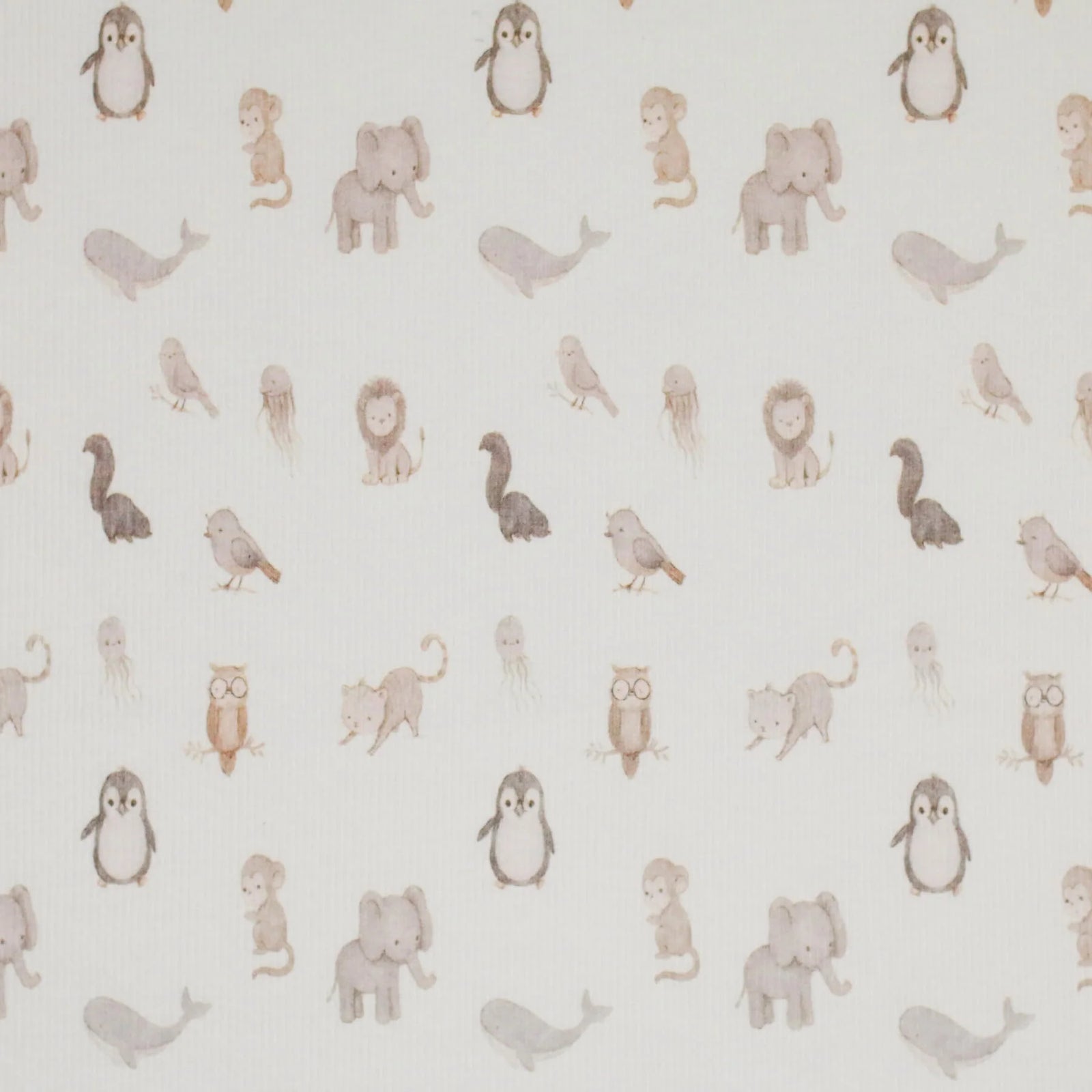 Newborn Animals | Ribbed Knit