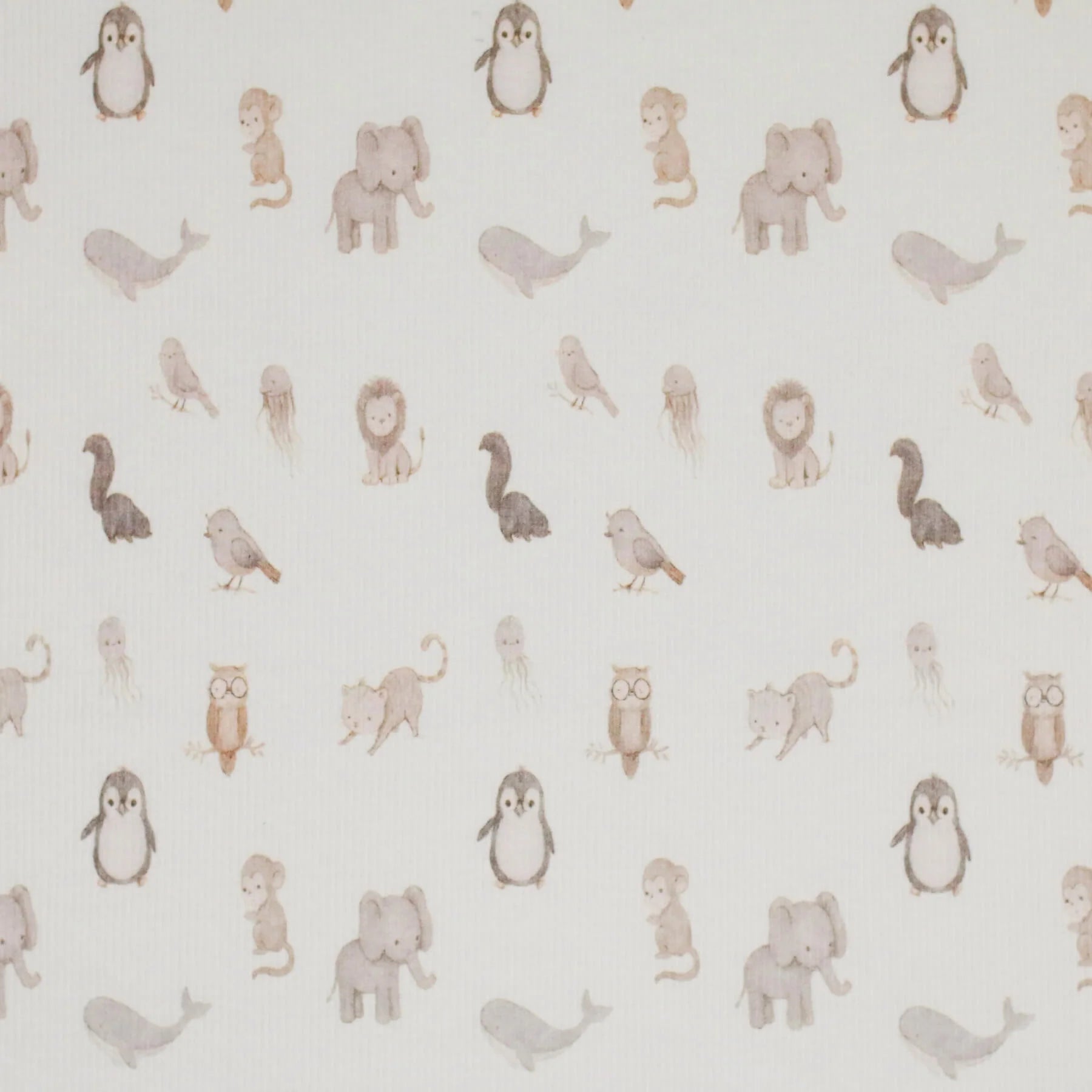 Newborn Animals | Ribbed Knit