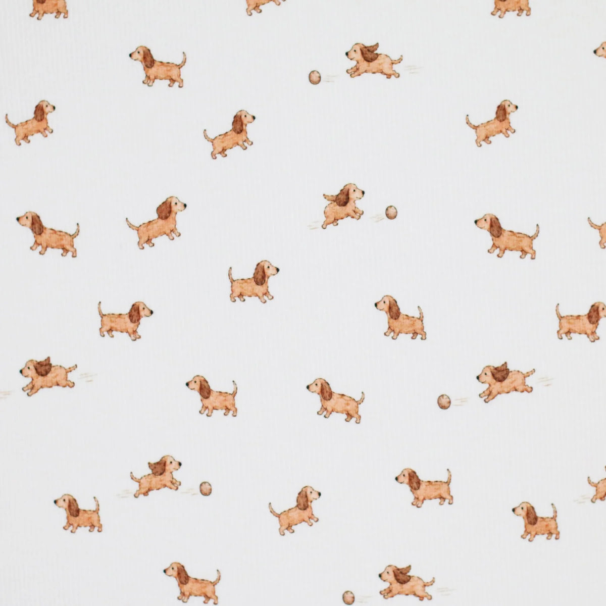 Playing Dogs | Ribbed Knit