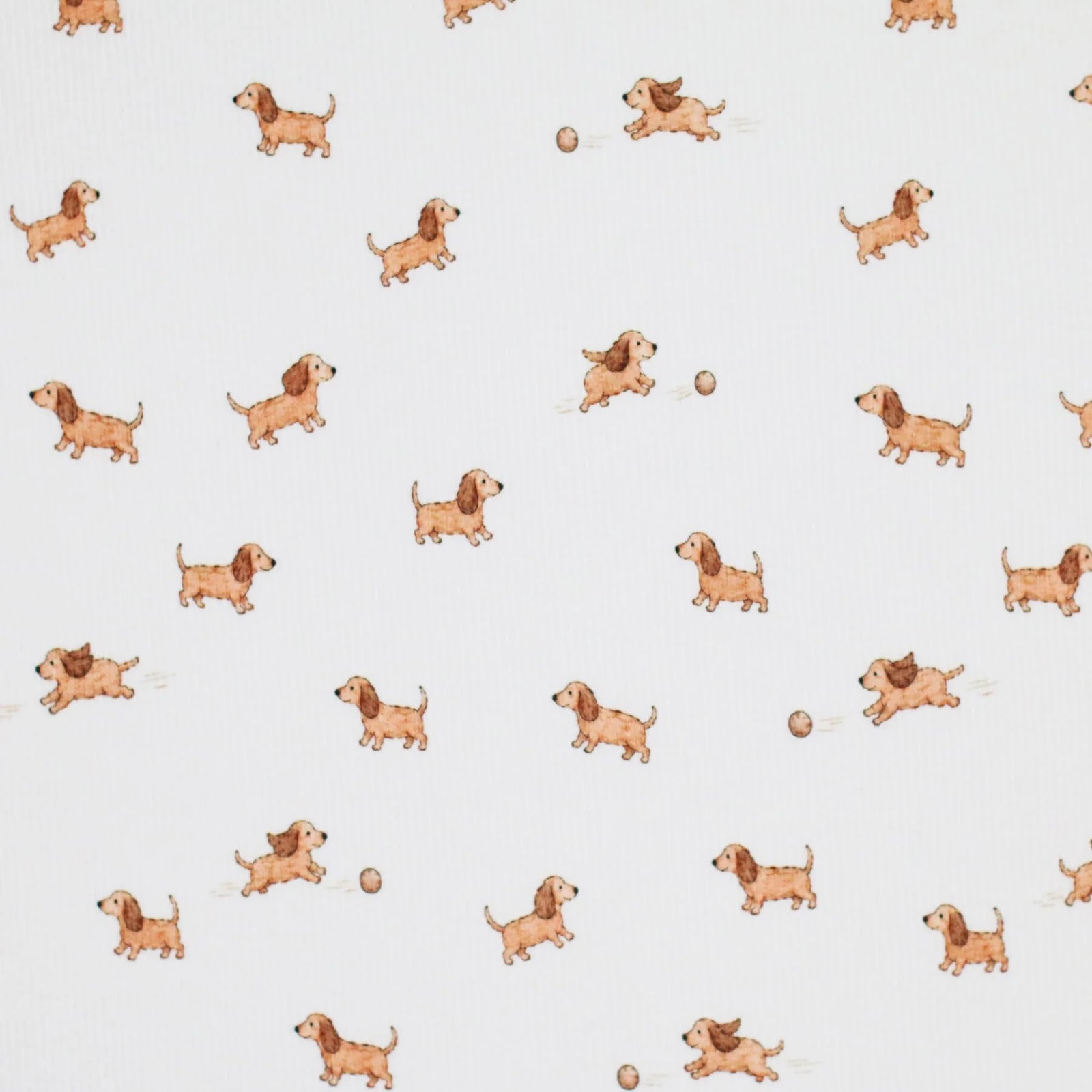 Playing Dogs | Ribbed Knit
