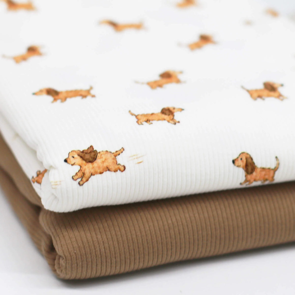 Playing Dogs | Ribbed Knit