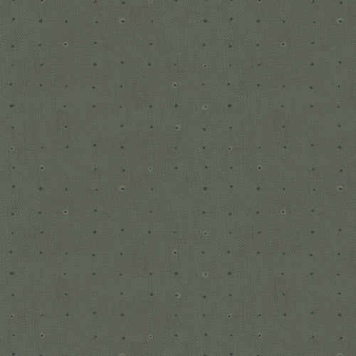 Seedling - Seeds Forest