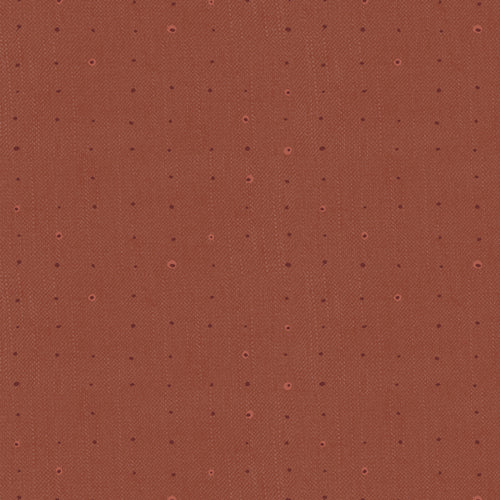 Seedling - Seeds Redwood