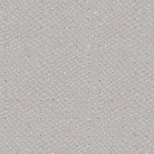 Seedling - Seeds Dove