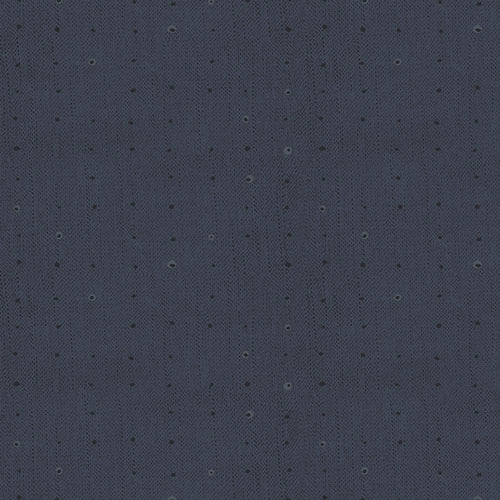 Seedling - Seeds Blueberry