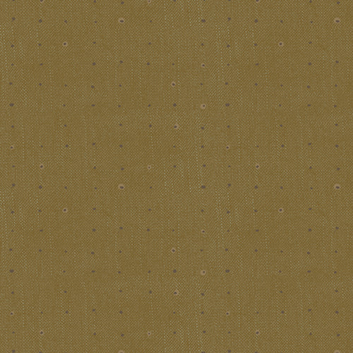 Seedling - Seeds Olive