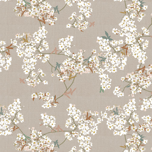 Soar - Skye Sakura Sprout