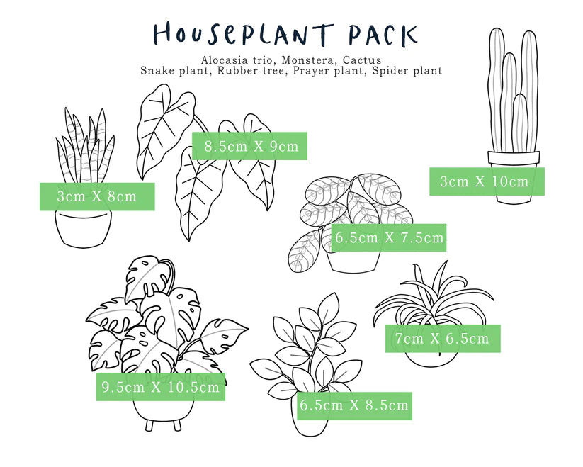 Stick & Stitch Embroidery Designs - Houseplants Pack