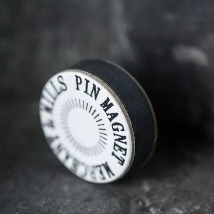 Pin Magnet