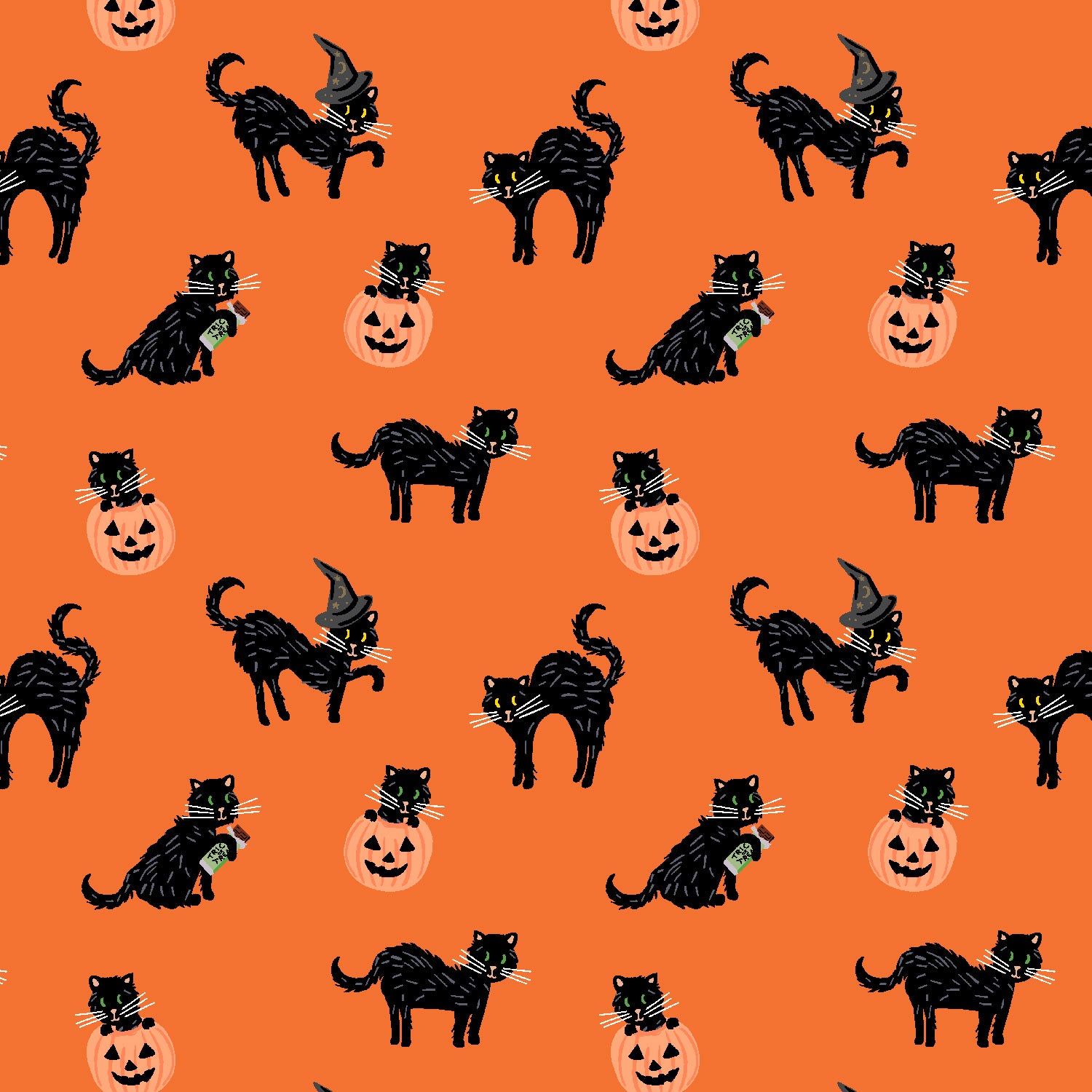 Halloween - Black Cat Orange