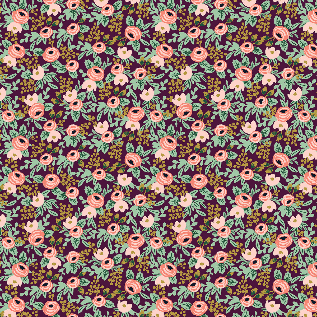 Orchard - Rosa Currant