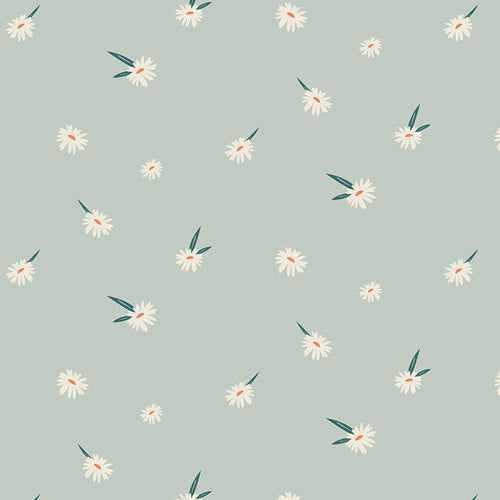 Campsite - Dancing Daisies