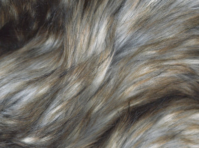 Apollo Wolf Fur Gray