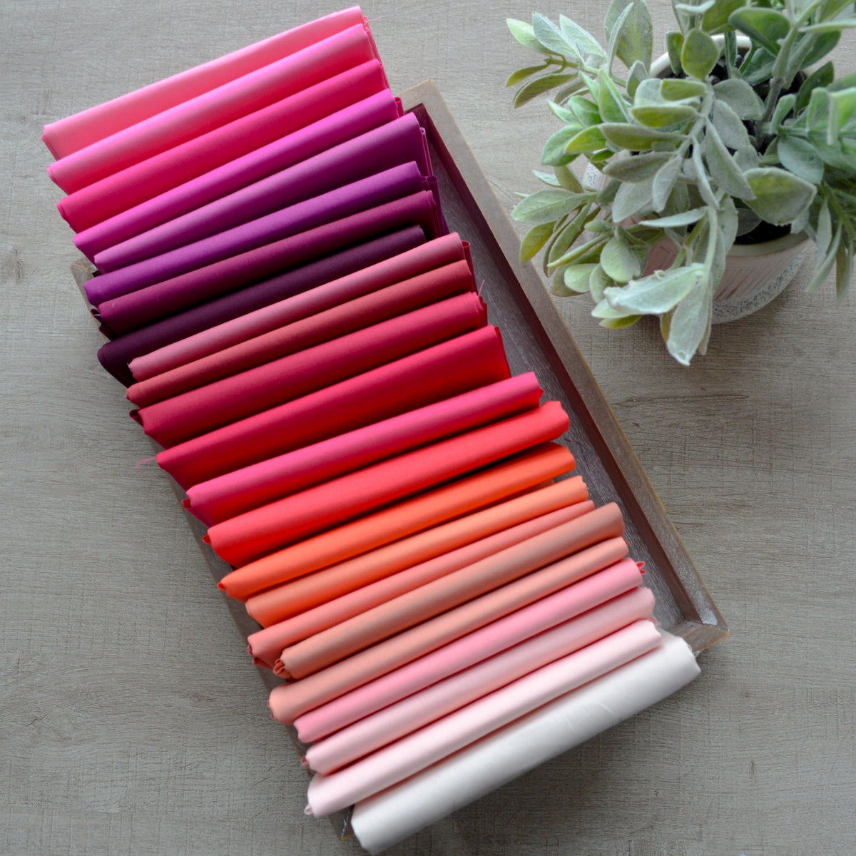 Blossoming - Pure Solids Bundle