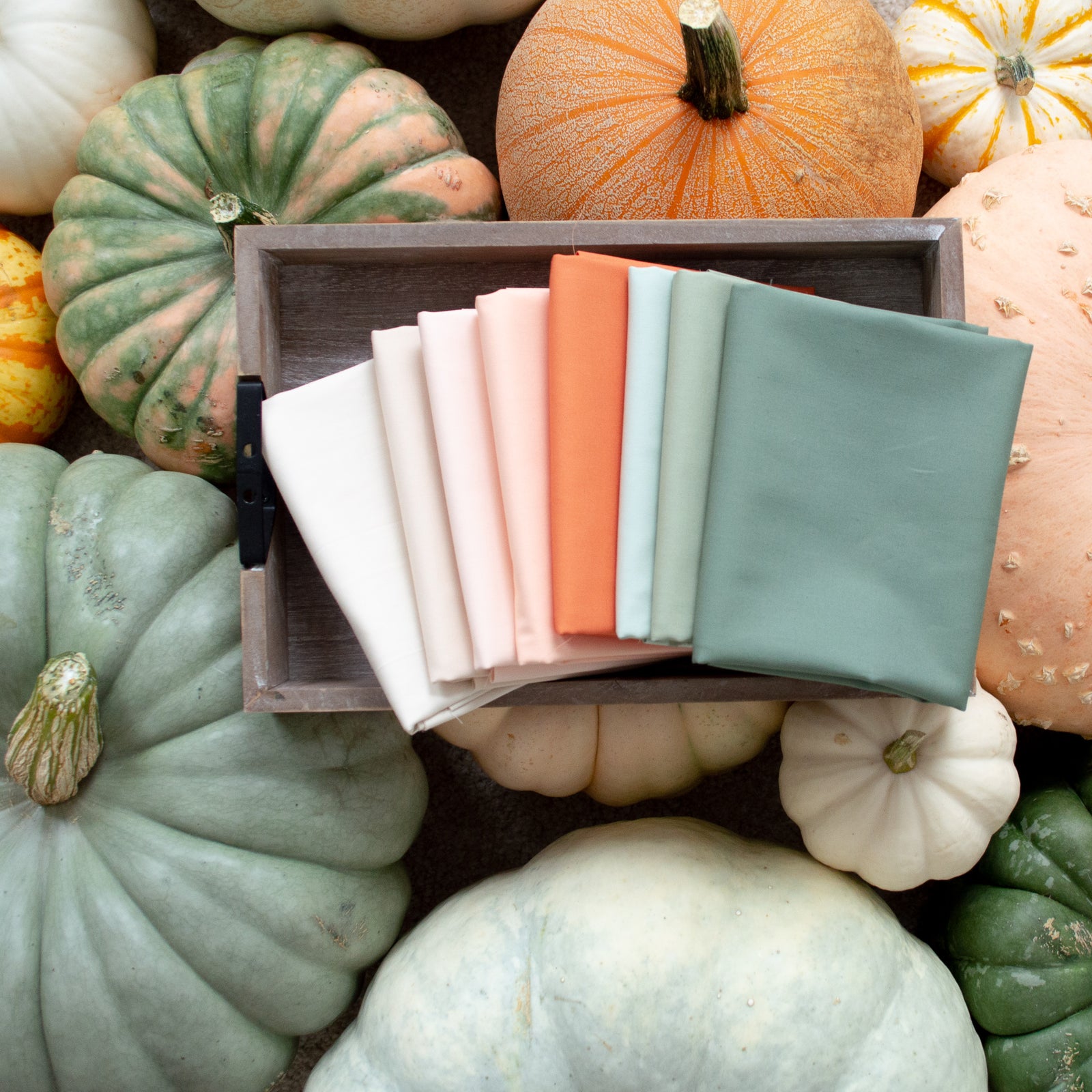 Hello Pumpkin - Solids Bundle