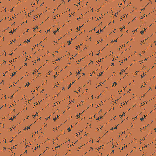 Hello, Bear - Adventure Bark