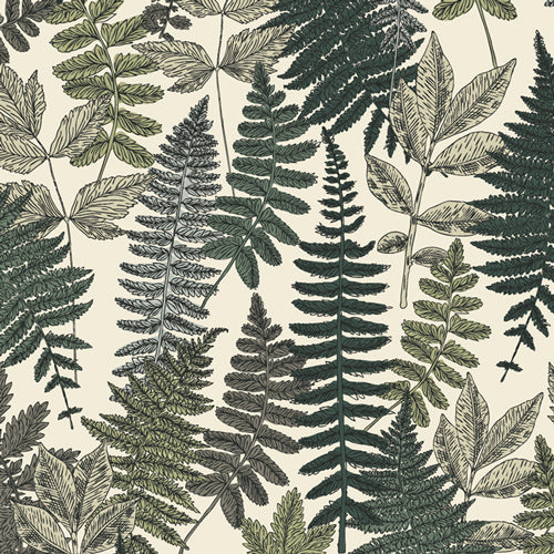 Her &amp; History -Dot’s Green Thumb