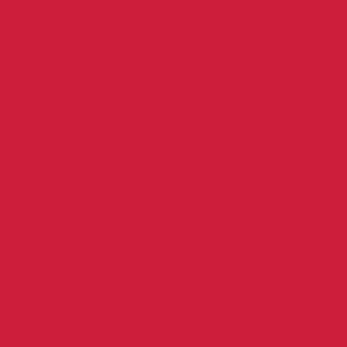 Pure Solids - Undeniably Red