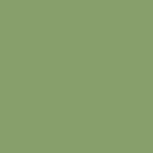 Pure Solids - Asparagus