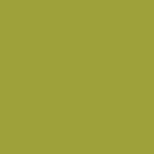 Pure Solids - Parrot