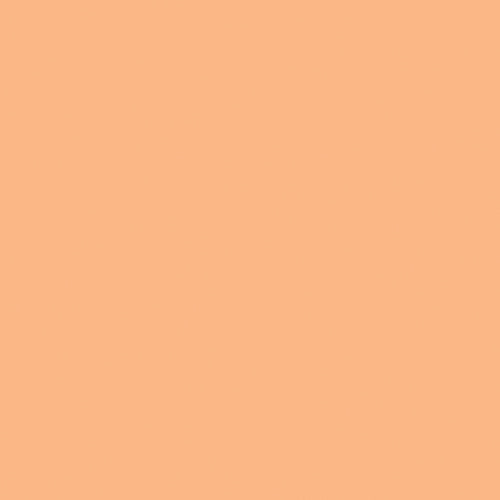 Signature Pure Solids - Shrimpy