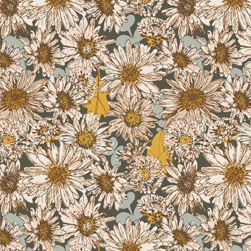 Shine On - Chasing Daisies