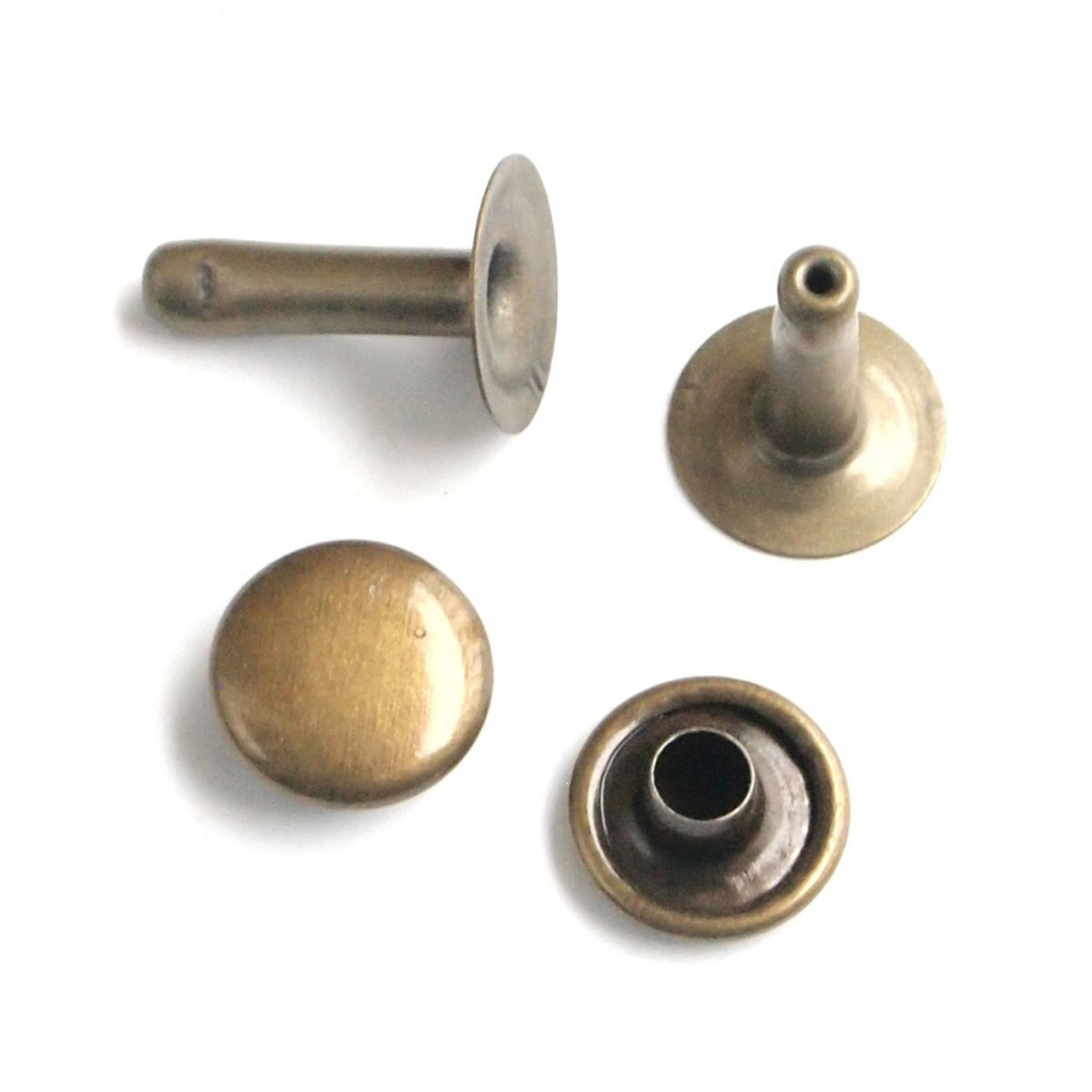 Medium Rivet Set 24ct