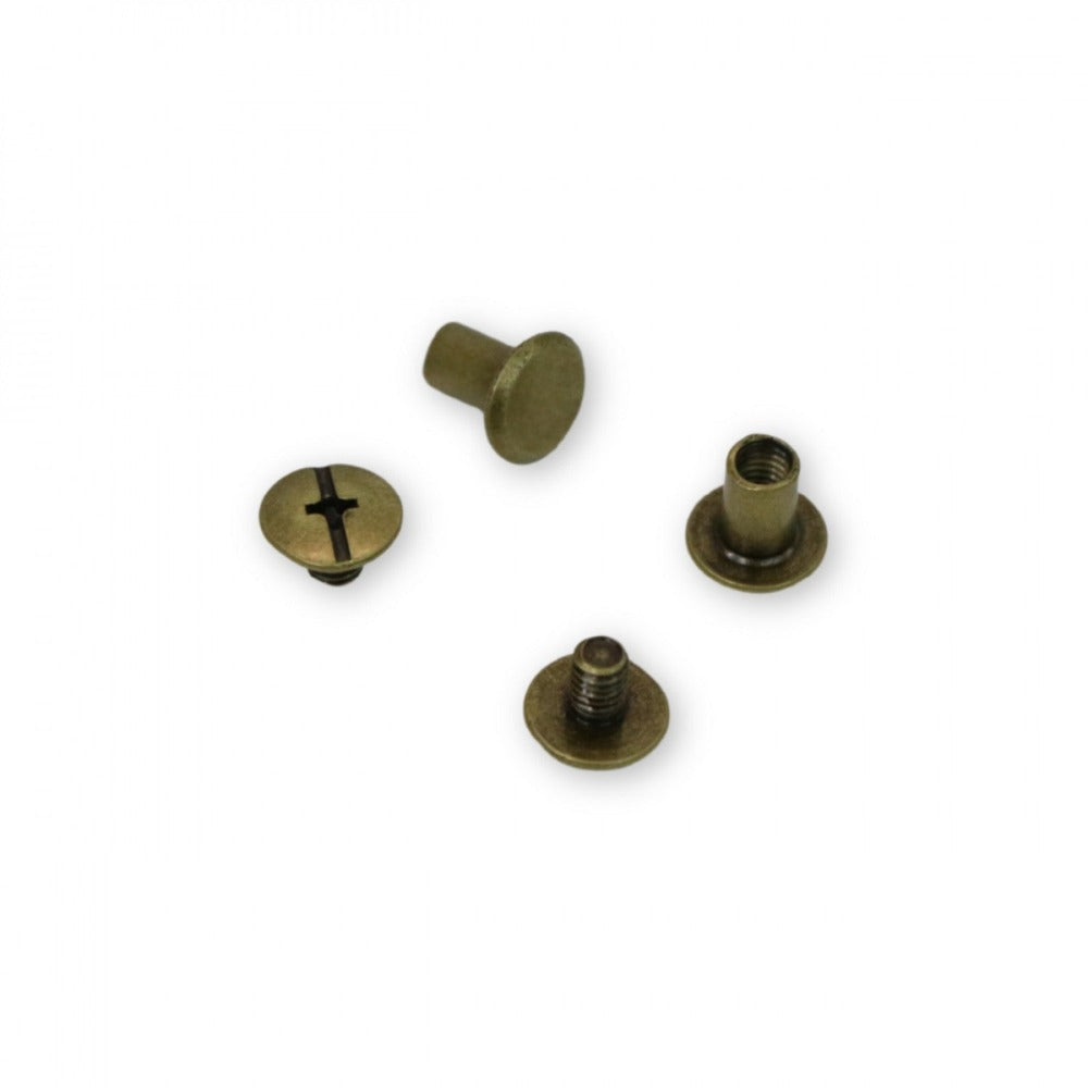 Medium Chicago Screws -12 ct