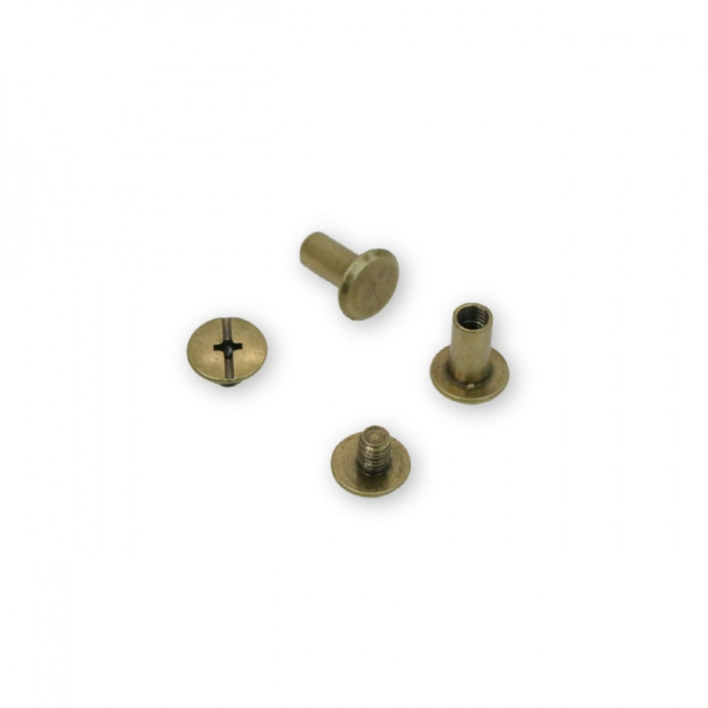 Large Chicago Screws -12 ct