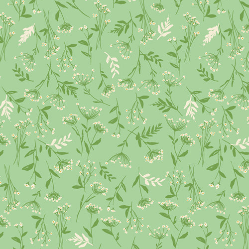 The Open Road - Whisper Weald