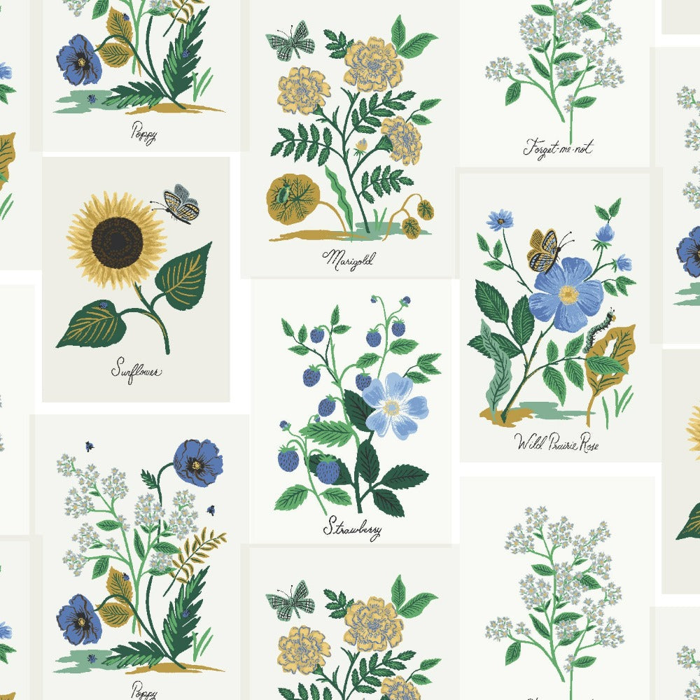 Curio - Botanical Prints Blue