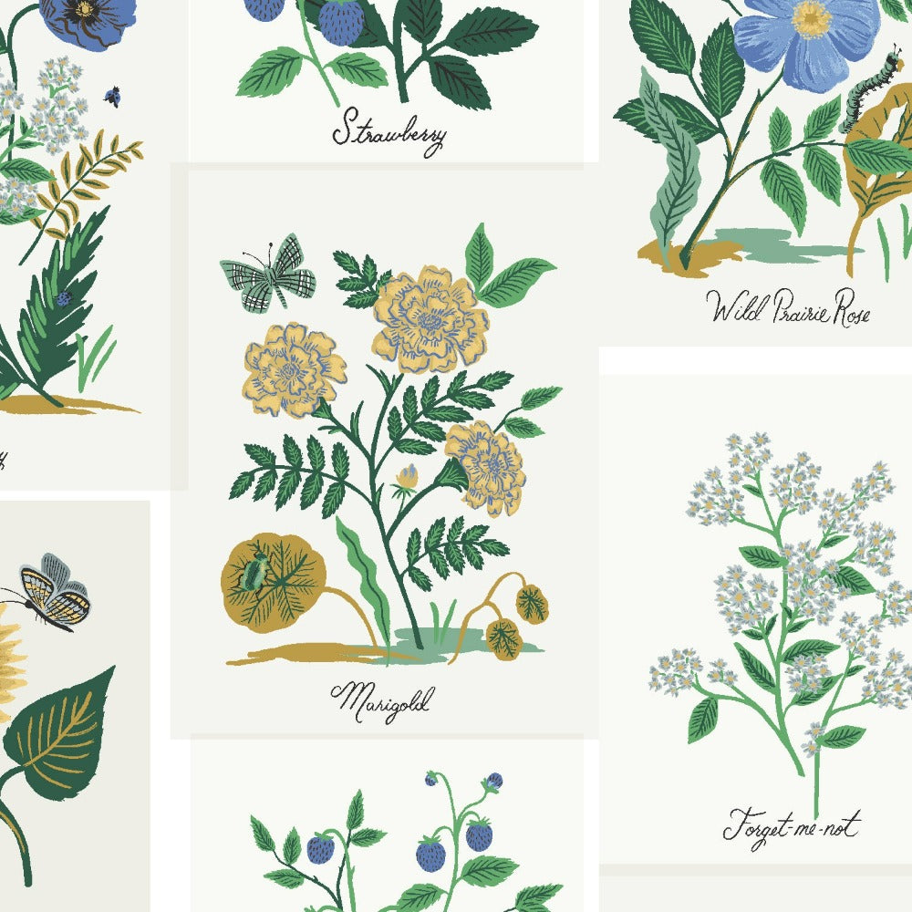 Curio - Botanical Prints Blue | Canvas