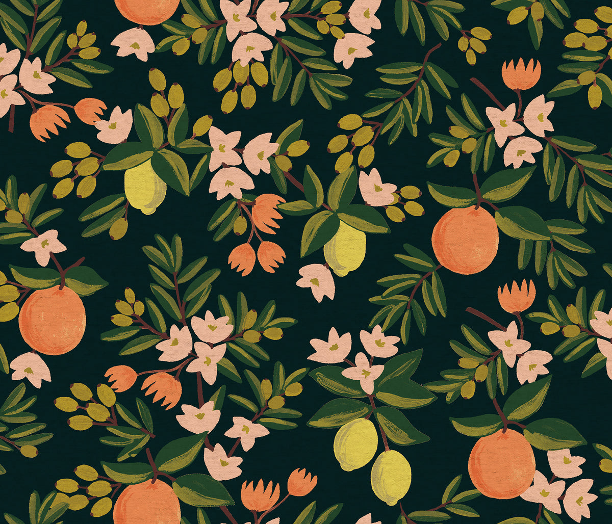 Primavera - Citrus Floral Black | Canvas